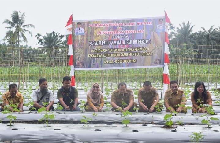 Gerakan Tanam Cabai Merah Langkah Konkret Tingkatkan Ketahanan Pangan