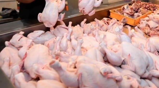 Jelang Akhir Tahun, Harga Daging Ayam Naik Signifikan