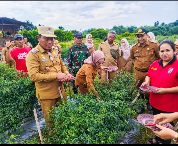 Lom Lom Suwondo: Pertanian di Kecamatan Namorambe Subur