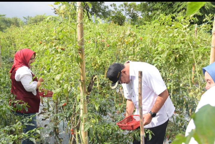 Pemkab Deliserdang Akan Selalu Hadir Menyeluruh di Sektor Pertanian