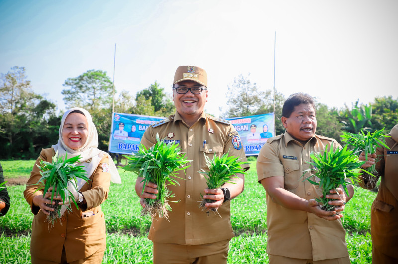 Bupati Dorong Pembangunan Greenhouse Demi Jaga Stabilitas Harga