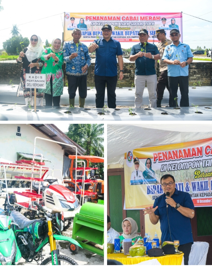 Pemkab Deliserdang Terus Perkuat Sektor Pertanian, Jaga Stabilitas Pasokan Dan Harga Pangan