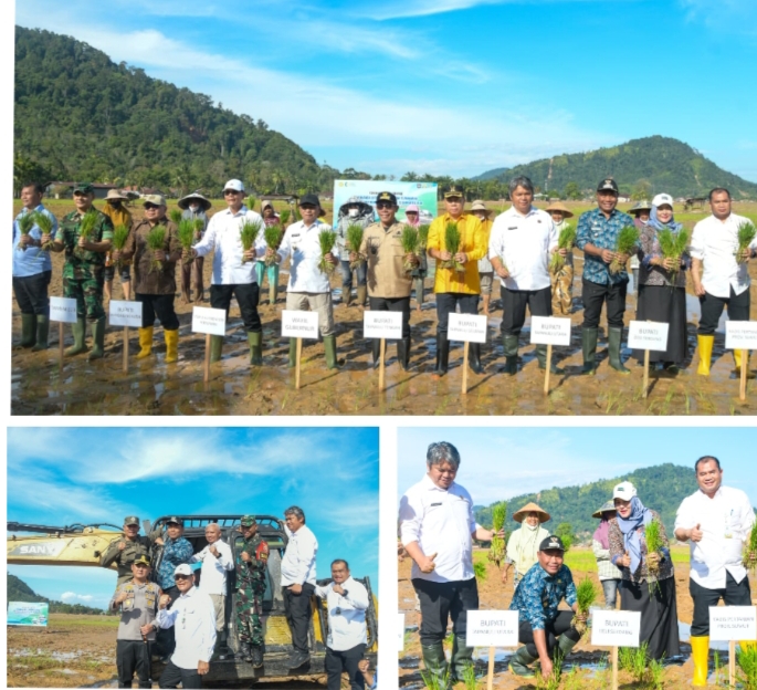 Rehabilitasi Lahan Sawah Deliserdang Titik Balik Ketahanan Pangan Sumut