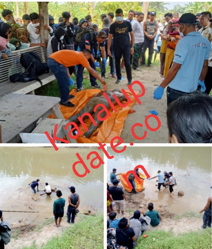 Jasad Dedi Pratama Ditemukan di Aliran Sungai Belumai Tanjungmorawa