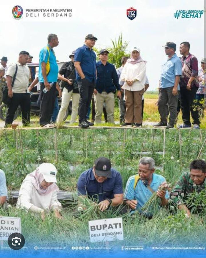 BPS Sumut: Deliserdang Raih Prestasi Inflasi Terendah Kelas Menengah, Stabil 3,80 Persen Per Januari 2026