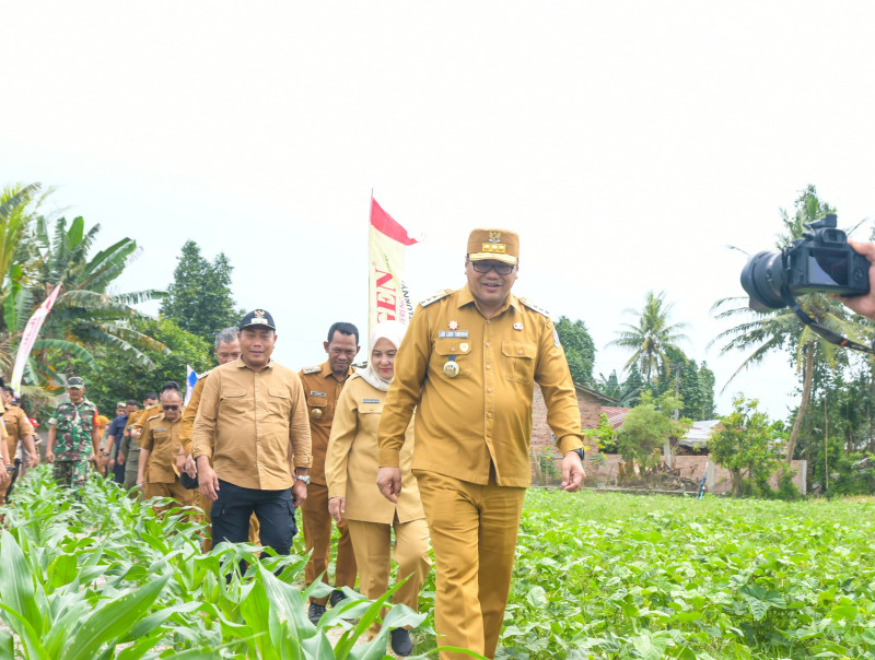 Pastikan Petani Tak Dirugikan Saat Harga Anjlok, Pemkab Deliserdang Siapkan Intervensi Pasar.