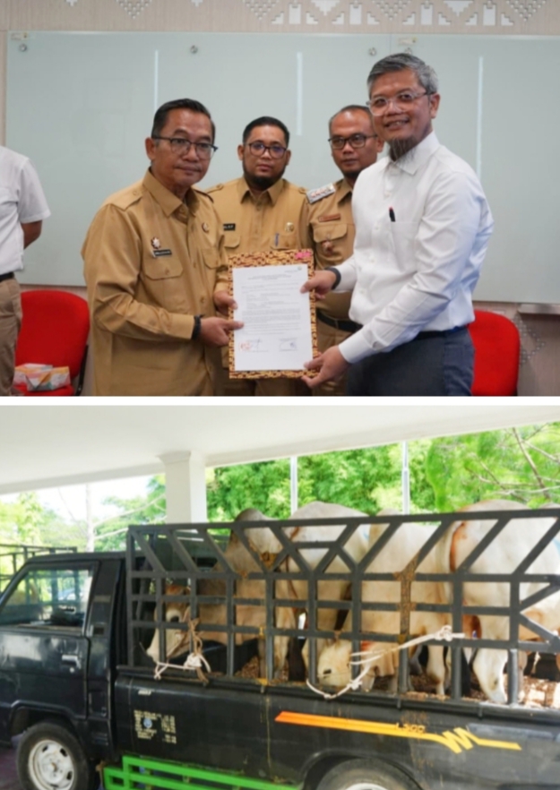 Pemkab Sambut Baik Program CSR Hewan Kurban PT Angkasa Pura Aviasi