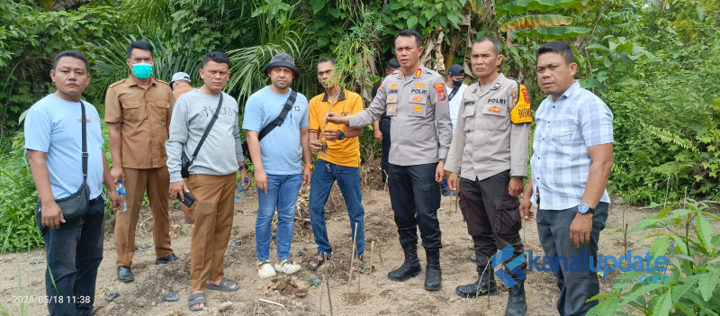 Polisi Ungkap Penanaman Ganja di Lahan Kosong Desa Dalu Sepuluh A, Puluhan Batang Dimusnahkan