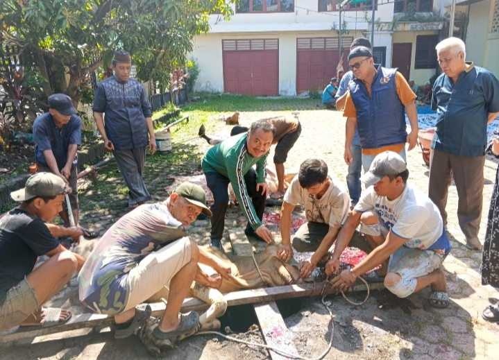 Iduladha 1447 H, PWI Sumut Sembelih 6 Hewan Kurban