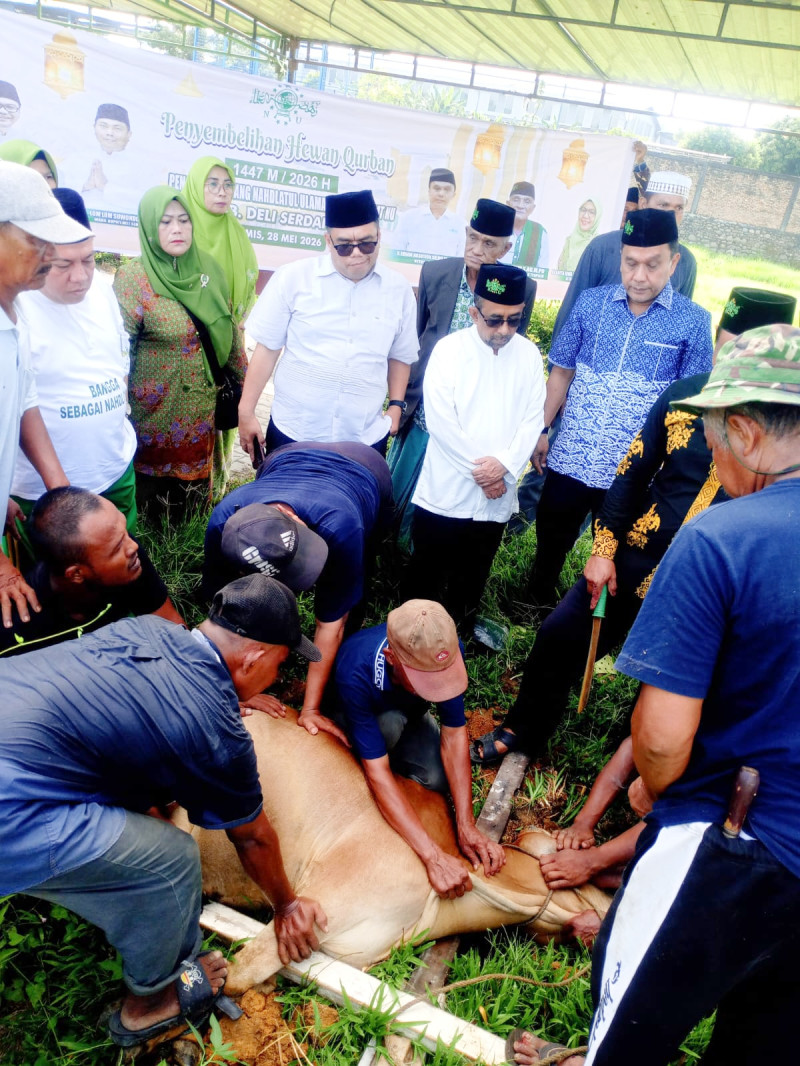 PCNU Dan PC Muslimat NU Deliserdang Sembelih 7 Sapi Dan 2 Kambing Qurban