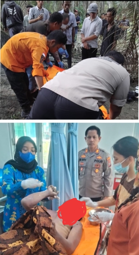 Temu Ditemukan Meninggal di Areal Perkebunan Sawit