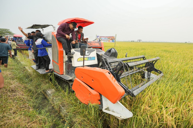 Dari Alsintan hingga Lumbung Padi, Bupati Deliserdang Perkuat Dukungan Untuk Petani Desa Sidoarjo II Ramunia