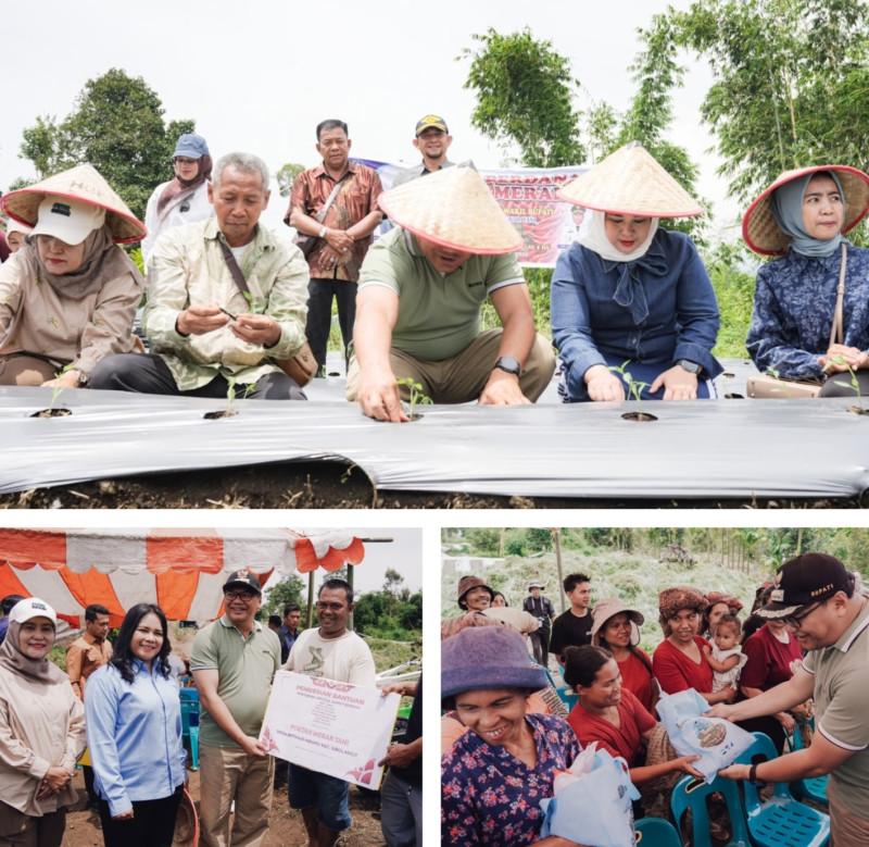 dr Aci Berikan Lahan Pinjam Pakai Gratis Dongkrak Pendapatan Petani Cabai Sibolangit