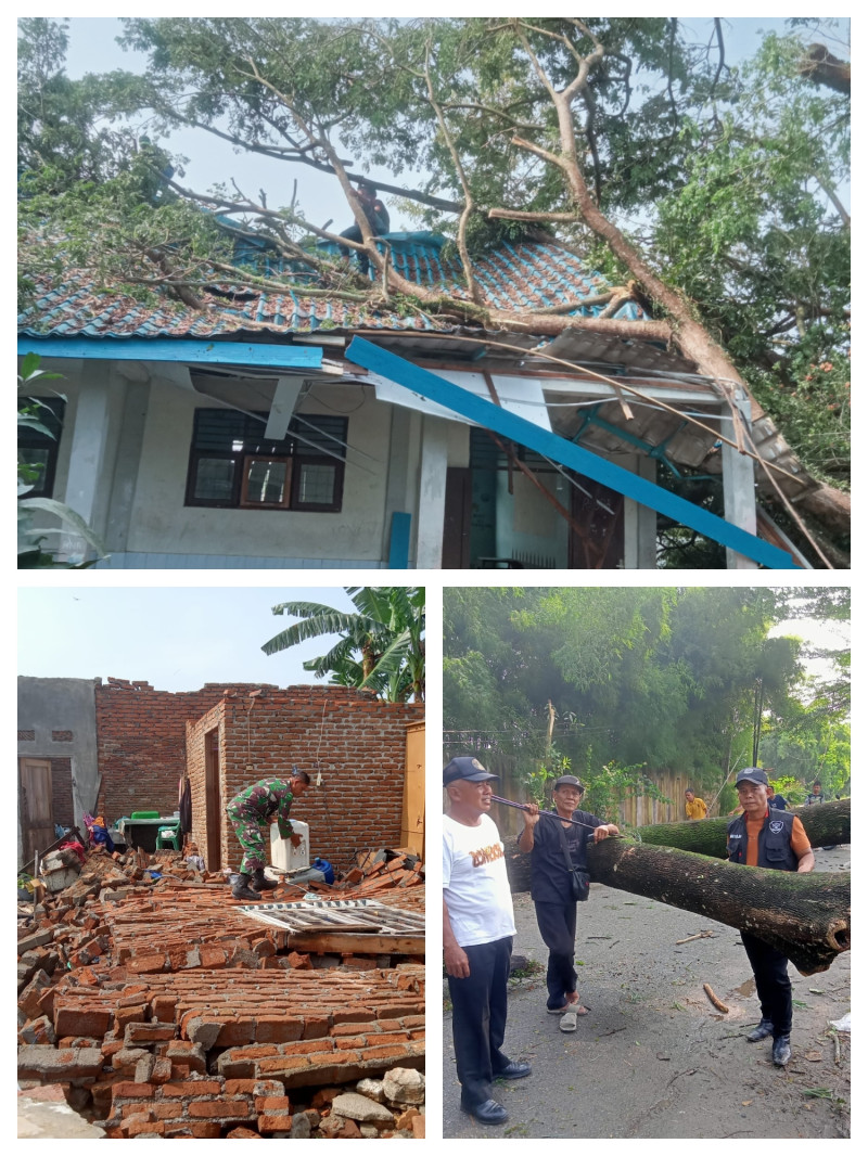 77 Rumah Rusak di Beringin Akibat Angin Puting Beliung
